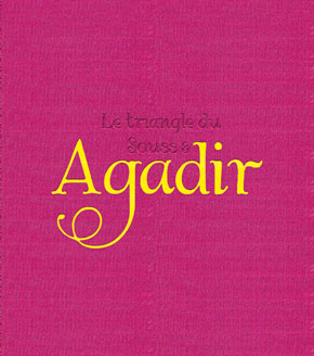 20110129 p 420261300